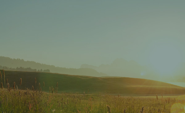Bild: Landschaft (istockphoto 1251141521/primeimages)